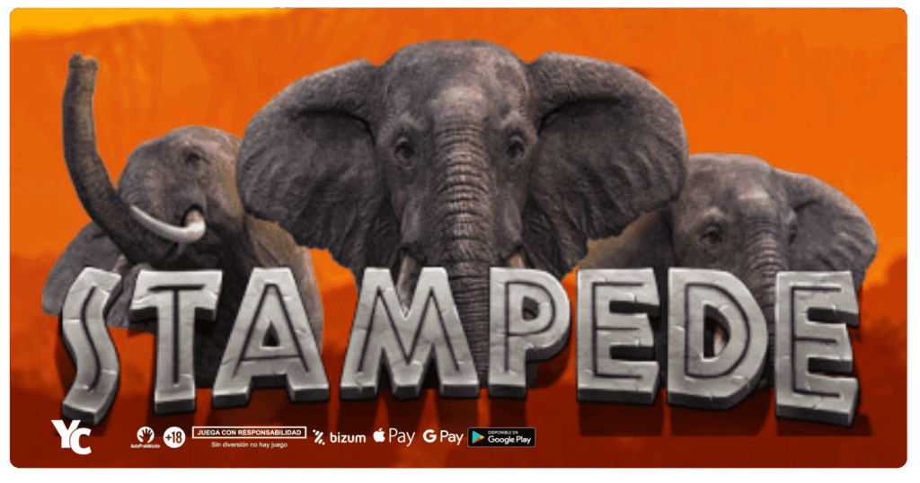 stampede